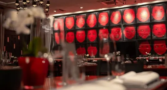 Mangostin - Sakura Mangostin - Sakura